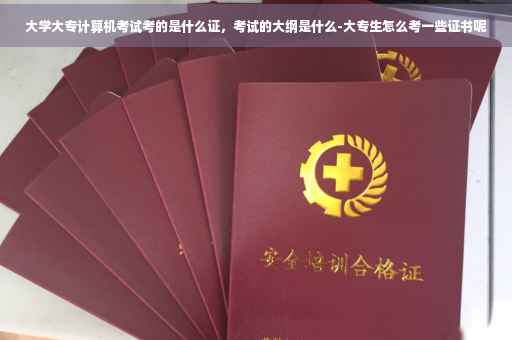 大学大专计算机考试考的是什么证，考试的大纲是什么-大专生怎么考一些证书呢