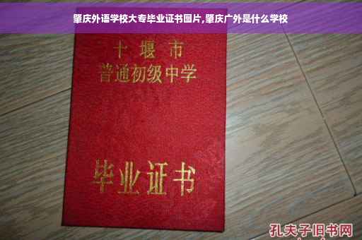 肇庆外语学校大专毕业证书图片,肇庆广外是什么学校