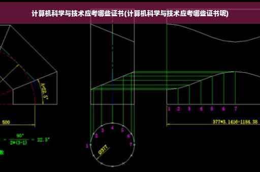 计算机科学与技术应考哪些证书(计算机科学与技术应考哪些证书呢)