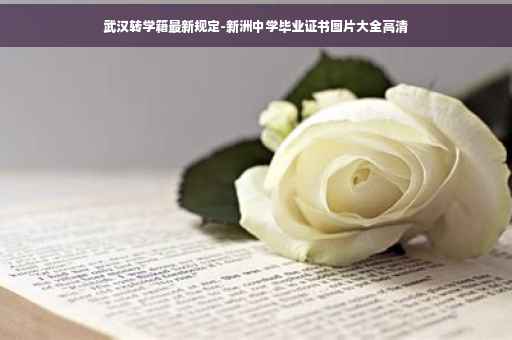武汉转学籍最新规定-新洲中学毕业证书图片大全高清