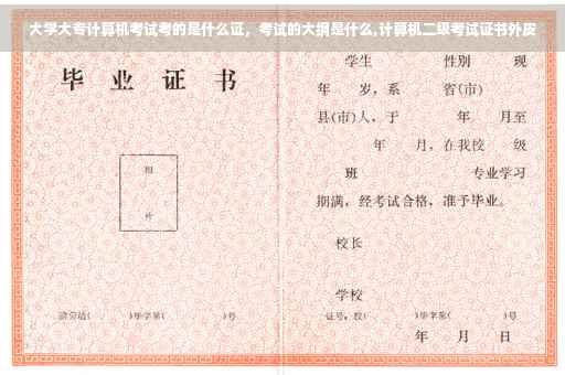 大学大专计算机考试考的是什么证，考试的大纲是什么,计算机二级考试证书外皮
