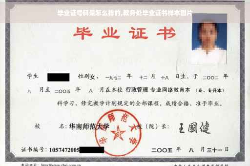 毕业证号码是怎么排的,教务处毕业证书样本图片