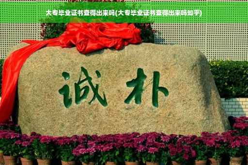 大专毕业证书查得出来吗(大专毕业证书查得出来吗知乎)