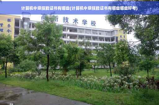 计算机中级技能证书有哪些(计算机中级技能证书有哪些哪些好考)