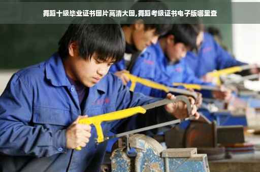 舞蹈十级毕业证书图片高清大图,舞蹈考级证书电子版哪里查