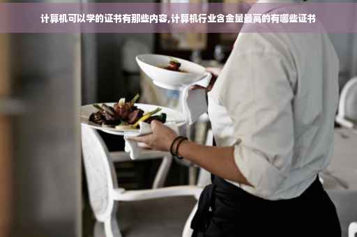 计算机可以学的证书有那些内容,计算机行业含金量最高的有哪些证书