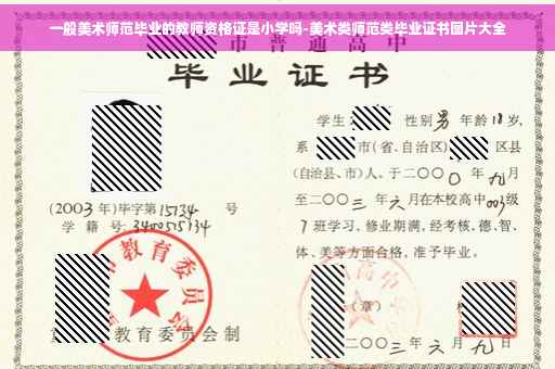 一般美术师范毕业的教师资格证是小学吗-美术类师范类毕业证书图片大全