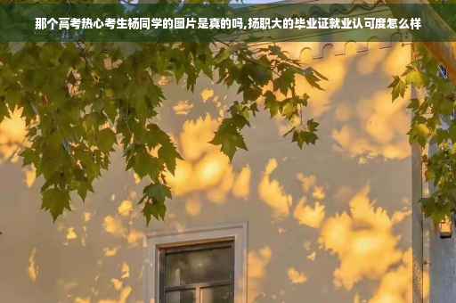 那个高考热心考生杨同学的图片是真的吗,扬职大的毕业证就业认可度怎么样