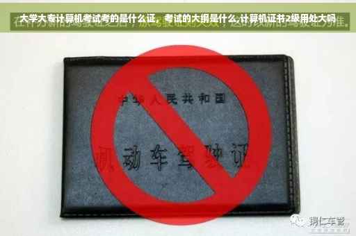大学大专计算机考试考的是什么证，考试的大纲是什么,计算机证书2级用处大吗