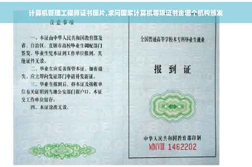 计算机管理工程师证书图片,求问国家计算机等级证书由哪个机构颁发