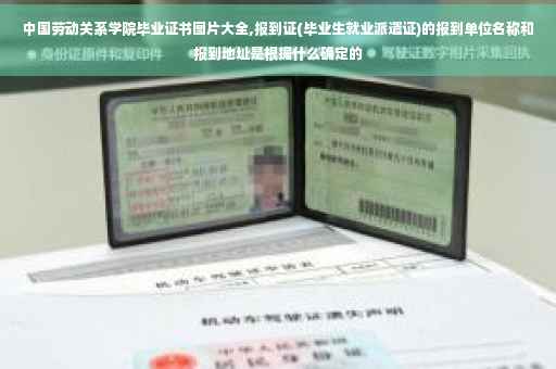 中国劳动关系学院毕业证书图片大全,报到证(毕业生就业派遣证)的报到单位名称和报到地址是根据什么确定的 中国劳动关系学院毕业证书图片大全,报到证(毕业生就业派遣证)的报到单位名称和报到地址是根据什么确定的