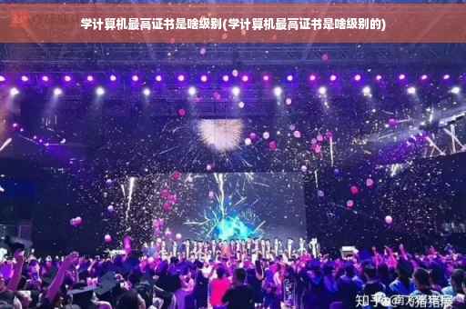 学计算机最高证书是啥级别(学计算机最高证书是啥级别的)