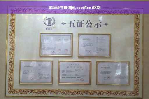 考级证书查询网,cse和cet区别