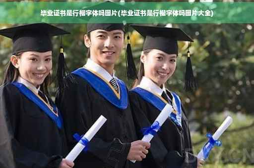 毕业证书是行楷字体吗图片(毕业证书是行楷字体吗图片大全)