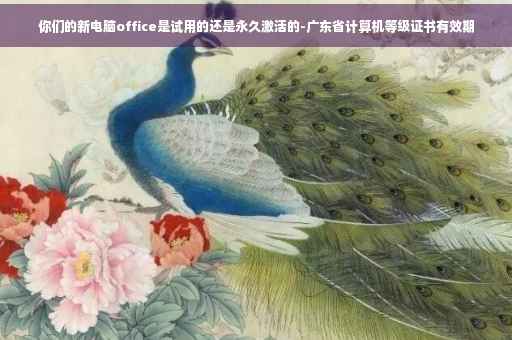 你们的新电脑office是试用的还是永久激活的-广东省计算机等级证书有效期