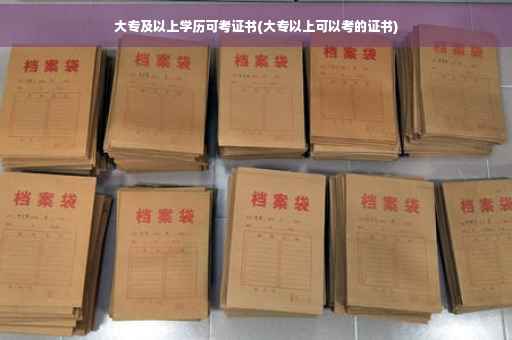 大专及以上学历可考证书(大专以上可以考的证书)