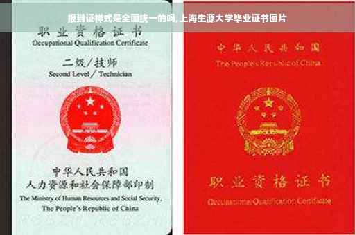 报到证样式是全国统一的吗,上海生源大学毕业证书图片