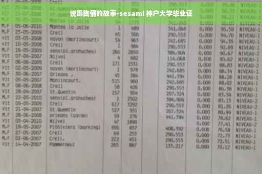 说唱陶俑的故事-sesami 神户大学毕业证