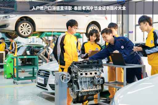 入户地户口簿哪里领取-奉新老高中毕业证书图片大全