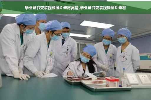 毕业证书变装视频图片素材高清,毕业证书变装视频图片素材