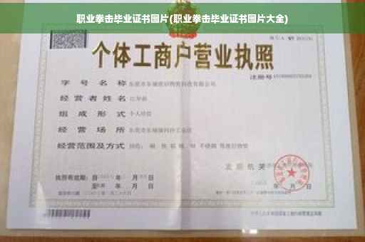 职业拳击毕业证书图片(职业拳击毕业证书图片大全)
