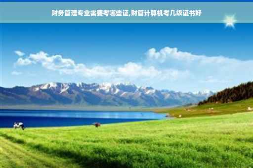 财务管理专业需要考哪些证,财管计算机考几级证书好
