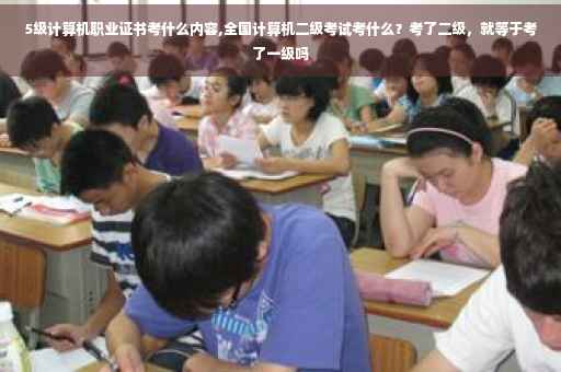 5级计算机职业证书考什么内容,全国计算机二级考试考什么？考了二级，就等于考了一级吗