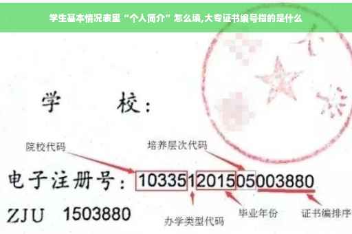 学生基本情况表里“个人简介”怎么填,大专证书编号指的是什么