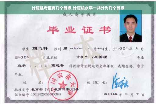 计算机考证有几个等级,计算机水平一共分为几个等级