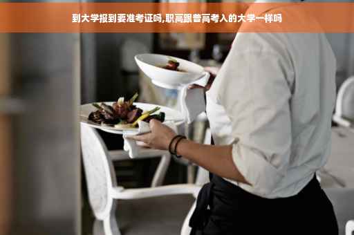 到大学报到要准考证吗,职高跟普高考入的大学一样吗