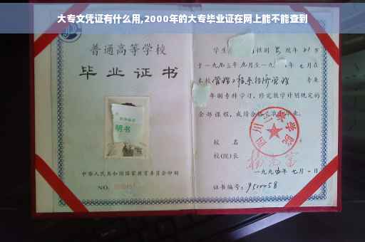 大专文凭证有什么用,2000年的大专毕业证在网上能不能查到