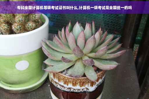 专科全国计算机等级考试证书叫什么,计算机一级考试是全国统一的吗