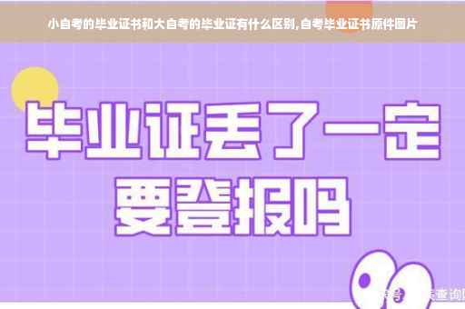 小自考的毕业证书和大自考的毕业证有什么区别,自考毕业证书原件图片