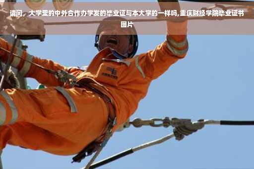 请问，大学里的中外合作办学发的毕业证与本大学的一样吗,重庆财经学院毕业证书图片