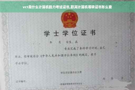 vct是什么计算机能力考试证书,职高计算机等级证书怎么查