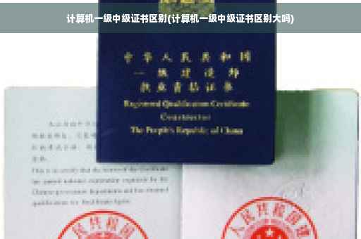 计算机一级中级证书区别(计算机一级中级证书区别大吗)
