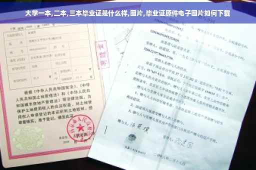 大学一本,二本,三本毕业证是什么样,图片,毕业证原件电子图片如何下载