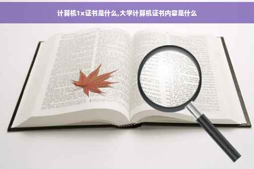 计算机1x证书是什么,大学计算机证书内容是什么