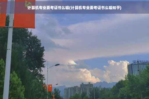 计算机专业要考证书么嘛(计算机专业要考证书么嘛知乎)