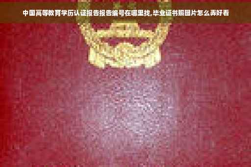 中国高等教育学历认证报告报告编号在哪里找,毕业证书照图片怎么弄好看