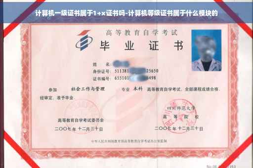 计算机一级证书属于1+x证书吗-计算机等级证书属于什么模块的