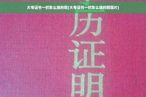 大专证书一栏怎么填的啊(大专证书一栏怎么填的啊图片)