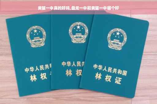 黄陂一中真的好吗,盘龙一中和黄陂一中哪个好