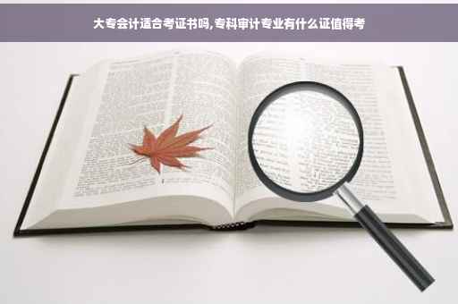 大专会计适合考证书吗,专科审计专业有什么证值得考