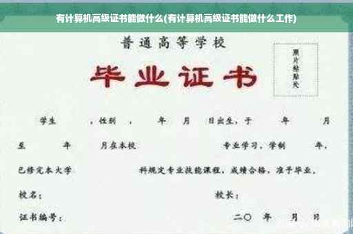 有计算机高级证书能做什么(有计算机高级证书能做什么工作)