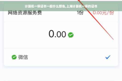 计算机一级证书一般什么颜色,上海计算机一级的证书