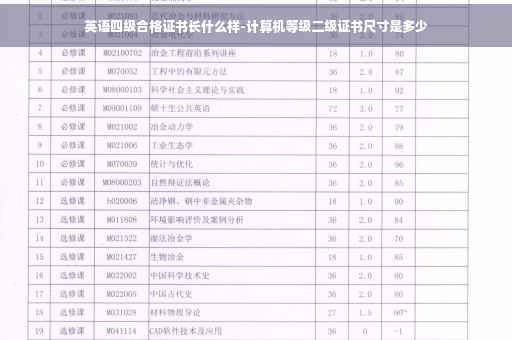 英语四级合格证书长什么样-计算机等级二级证书尺寸是多少
