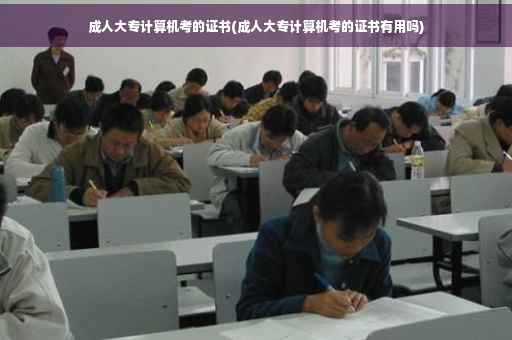 成人大专计算机考的证书(成人大专计算机考的证书有用吗)