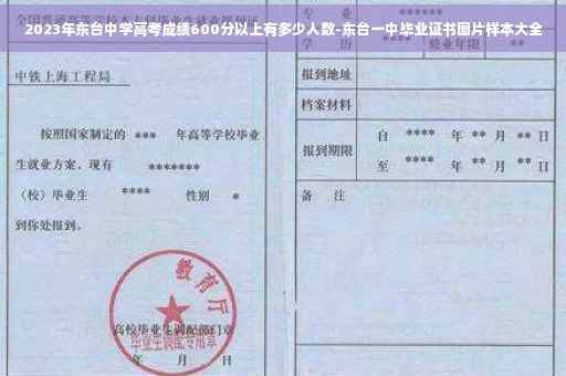 2023年东台中学高考成绩600分以上有多少人数-东台一中毕业证书图片样本大全