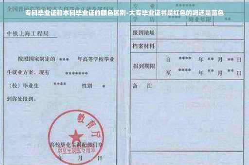 专科毕业证和本科毕业证的颜色区别-大专毕业证书是红色的吗还是蓝色